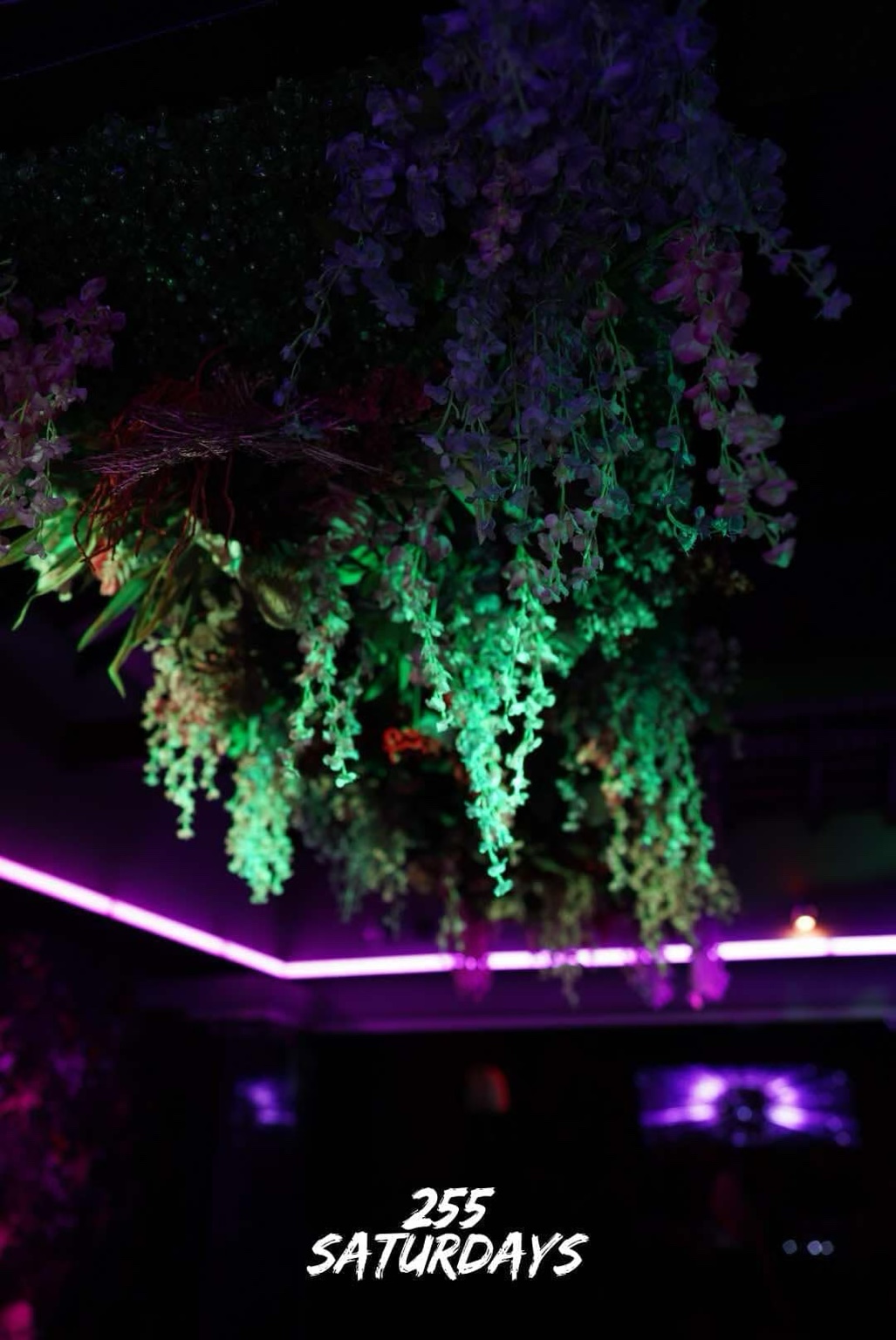 ATTIK floral interior feature