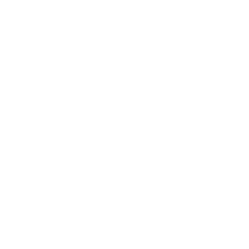 ATTIK 255